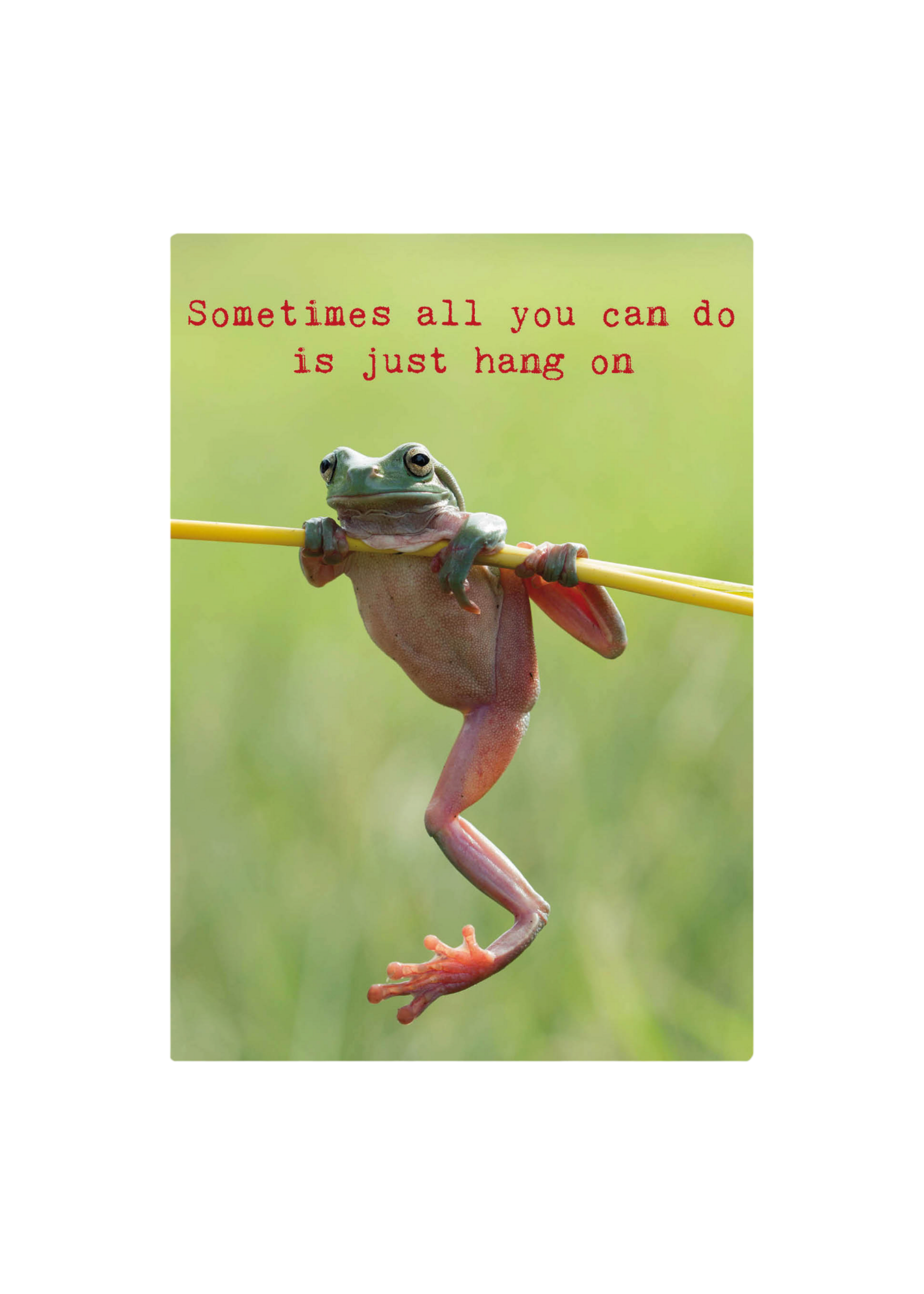 Zintenz Ansichtkaart Sometimes all you can do TL169