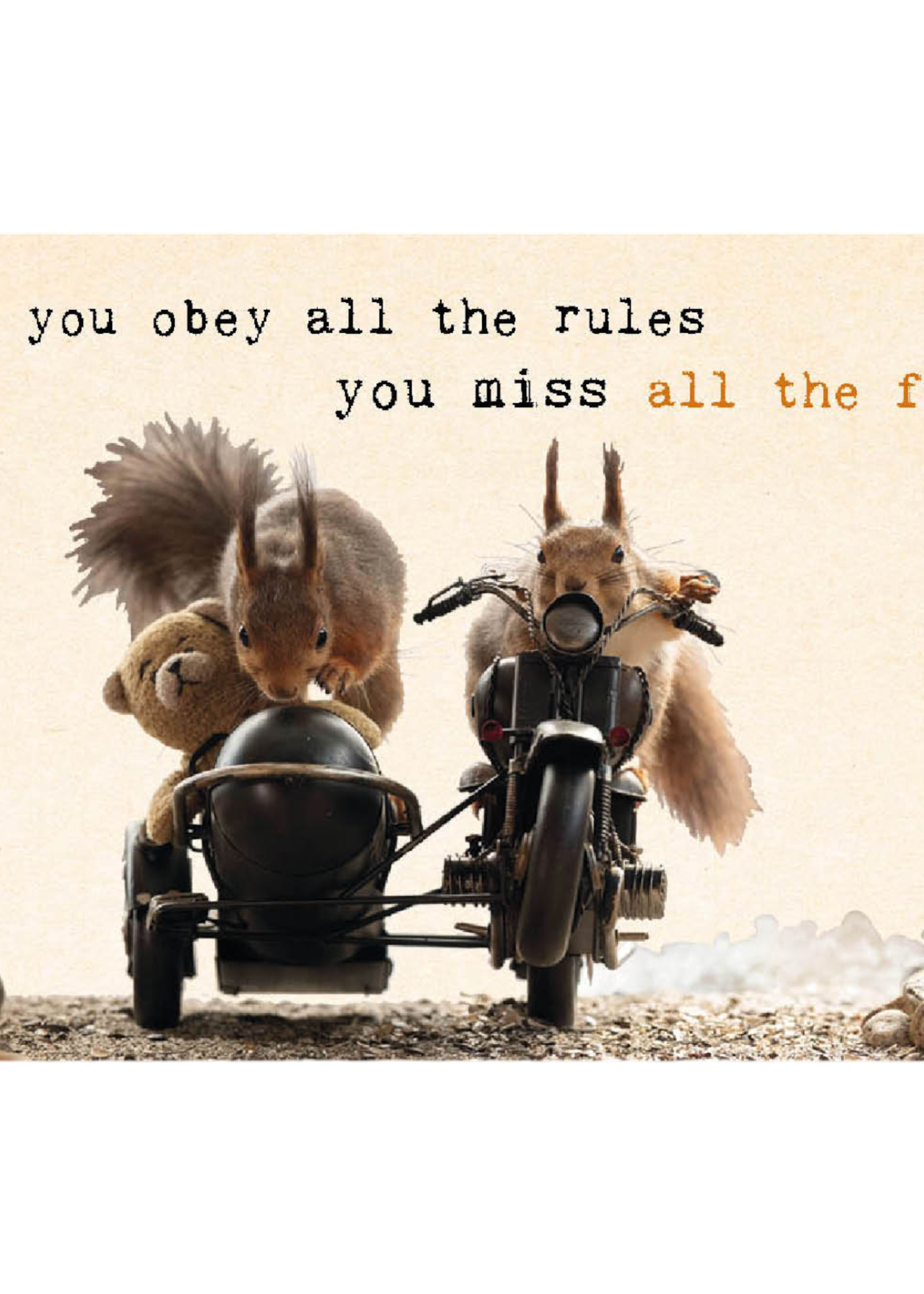 Zintenz Ansichtkaart If you obey all the rules