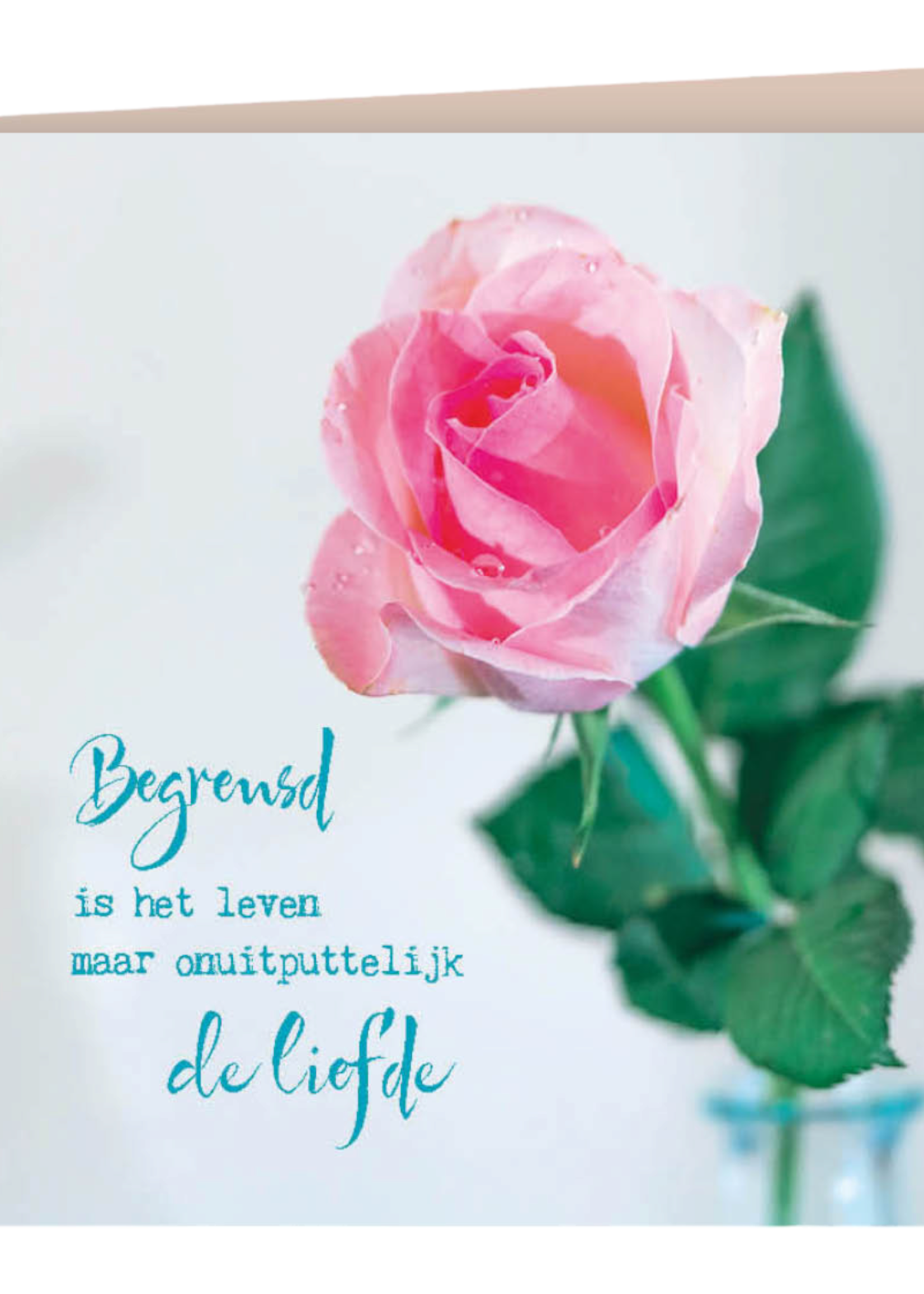 Zintenz Postkaart Begrensd is het leven