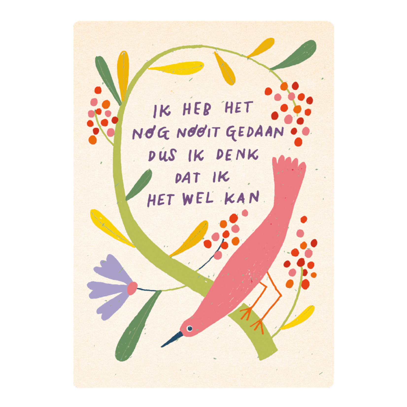 Zintenz Ansichtkaart Ik heb het nog nooit C127