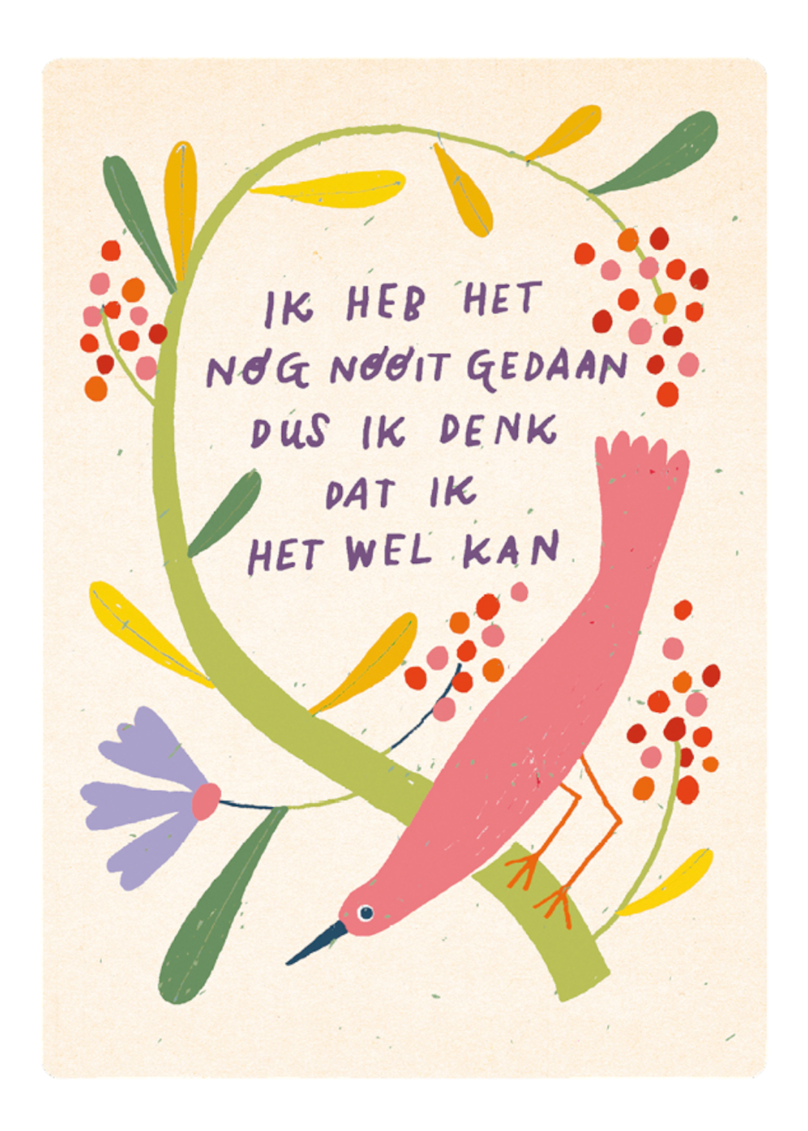 Zintenz Ansichtkaart Ik heb het nog nooit C127