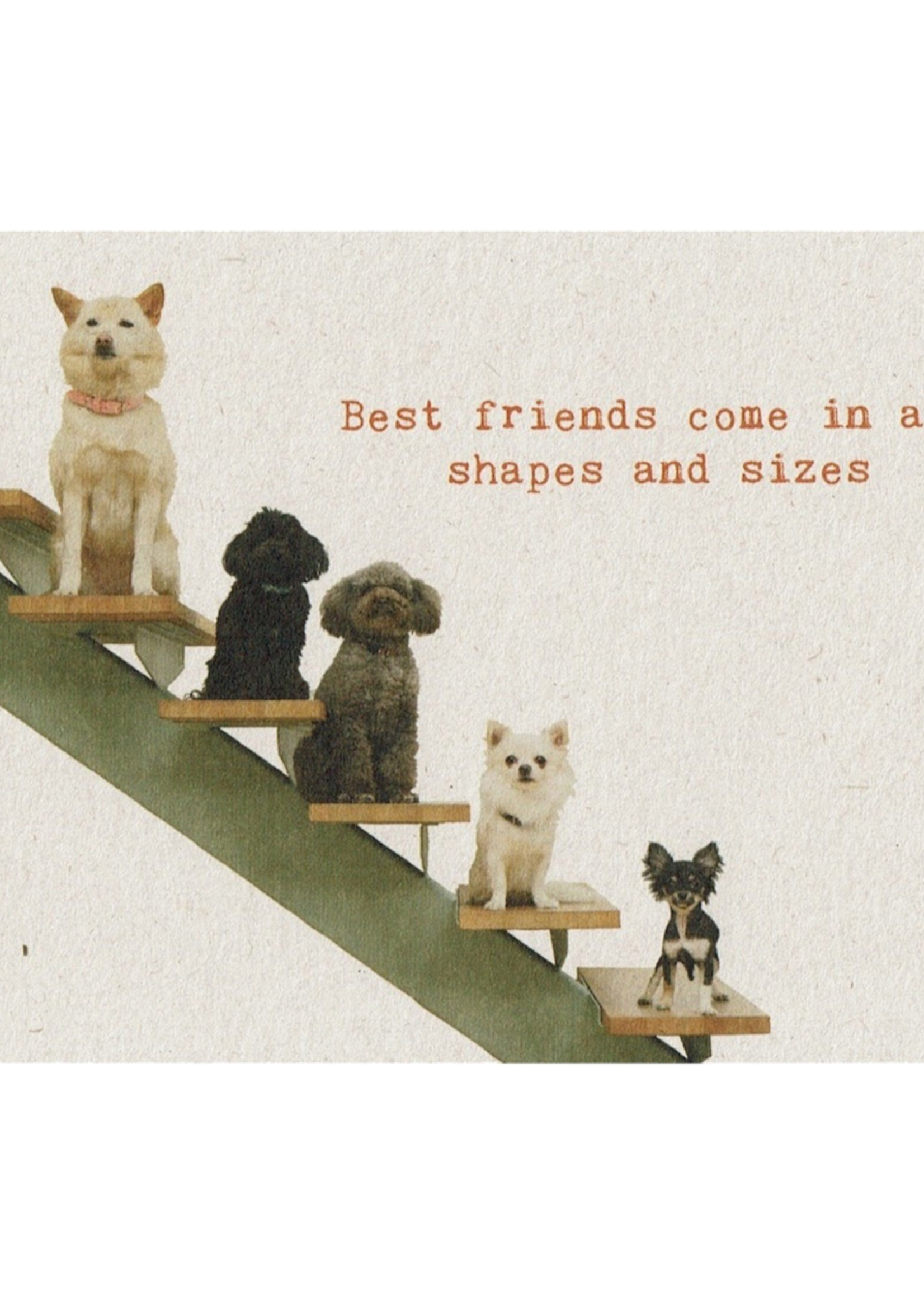 Zintenz Ansichtkaart Best friends come all  shapes and sizes