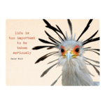Zintenz Ansichtkaart Life is too important to be taken TL140