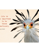 Zintenz Ansichtkaart Life is too important to be taken