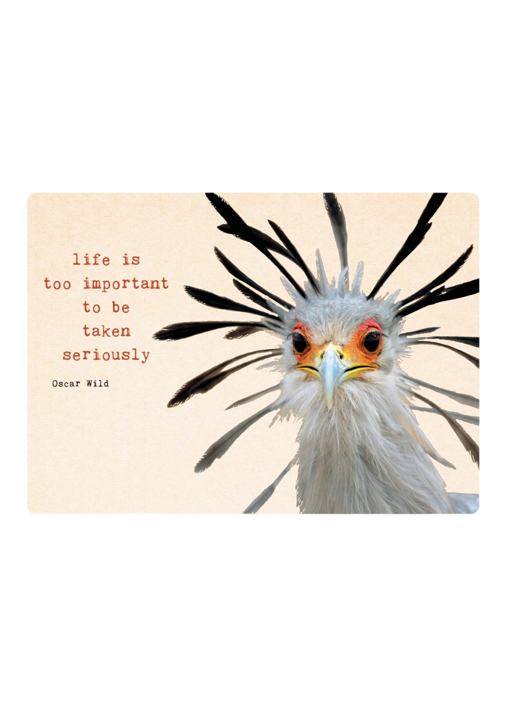 Zintenz Ansichtkaart Life is too important to be taken TL140