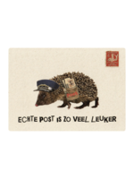 Zintenz Ansichtkaart  Echte post is zo veel leuker KVC01