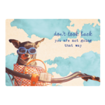 Zintenz Ansichtkaart Don't look back TL139