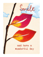 Zintenz Ansichtkaart Smile and have