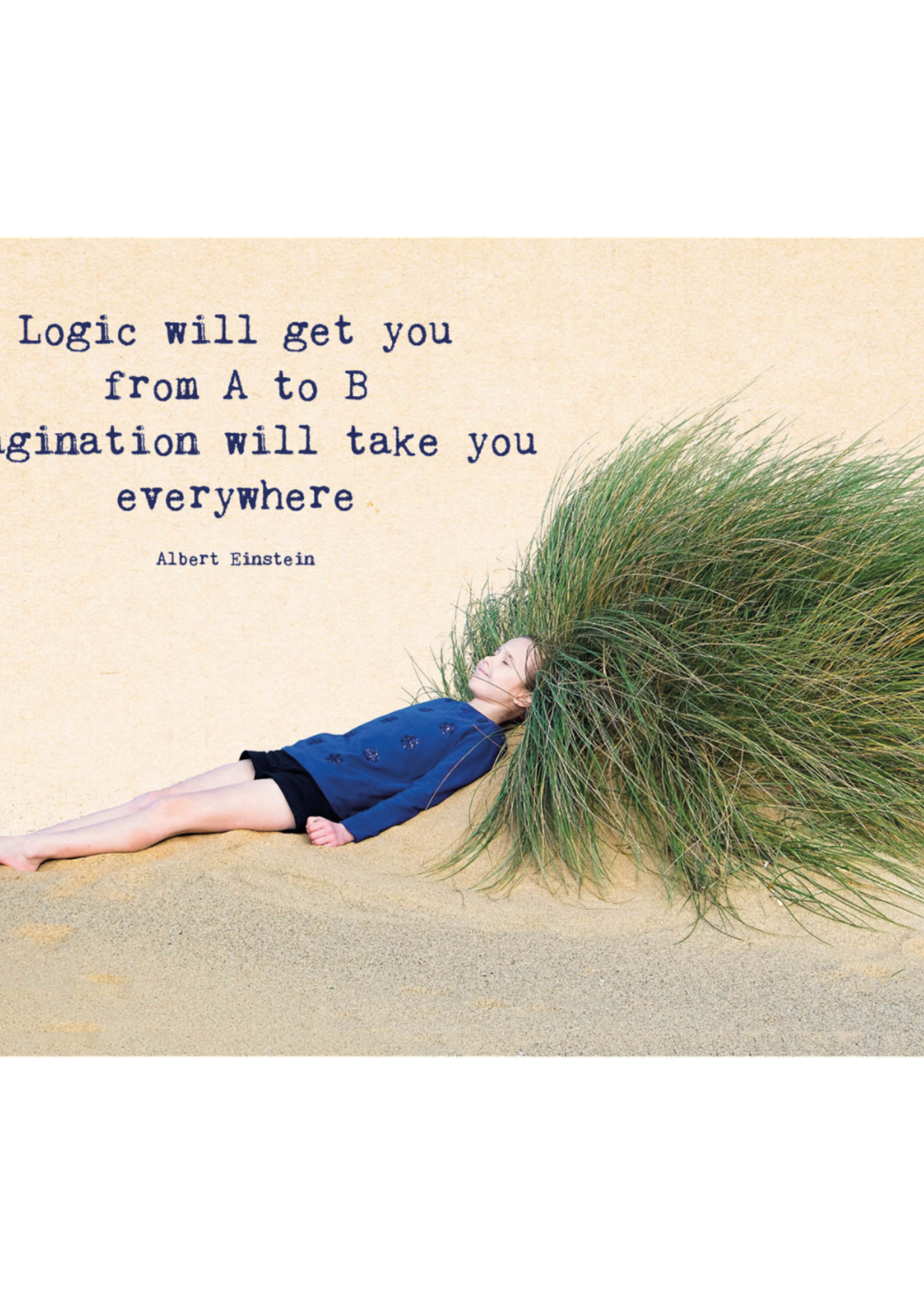 Zintenz ansichtkaart Logic will get you TL118