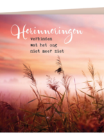 Zintenz Postkaart Herinneringen verbinden wat het oog