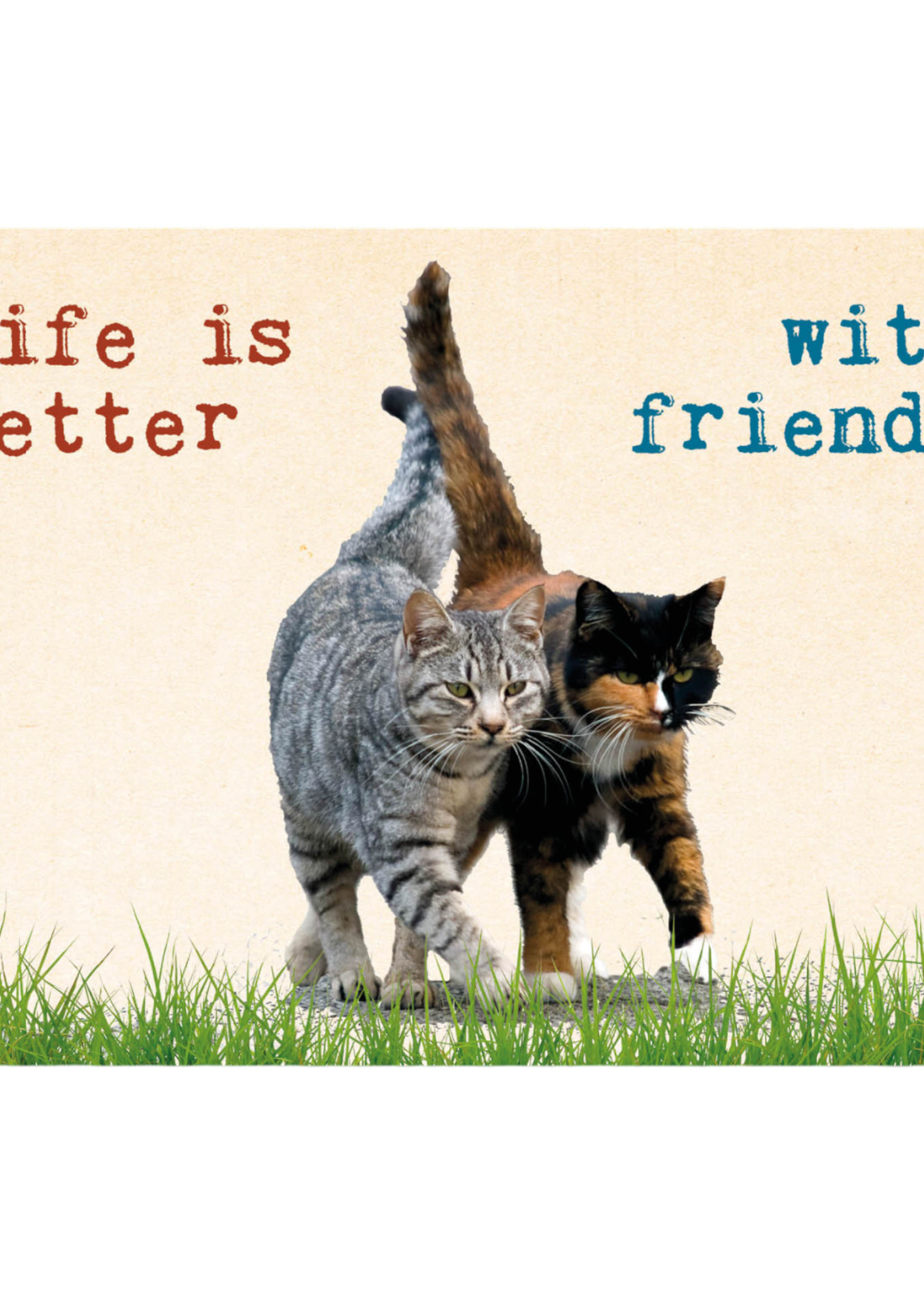 Zintenz Ansichtkaart Life is better with friends TL16