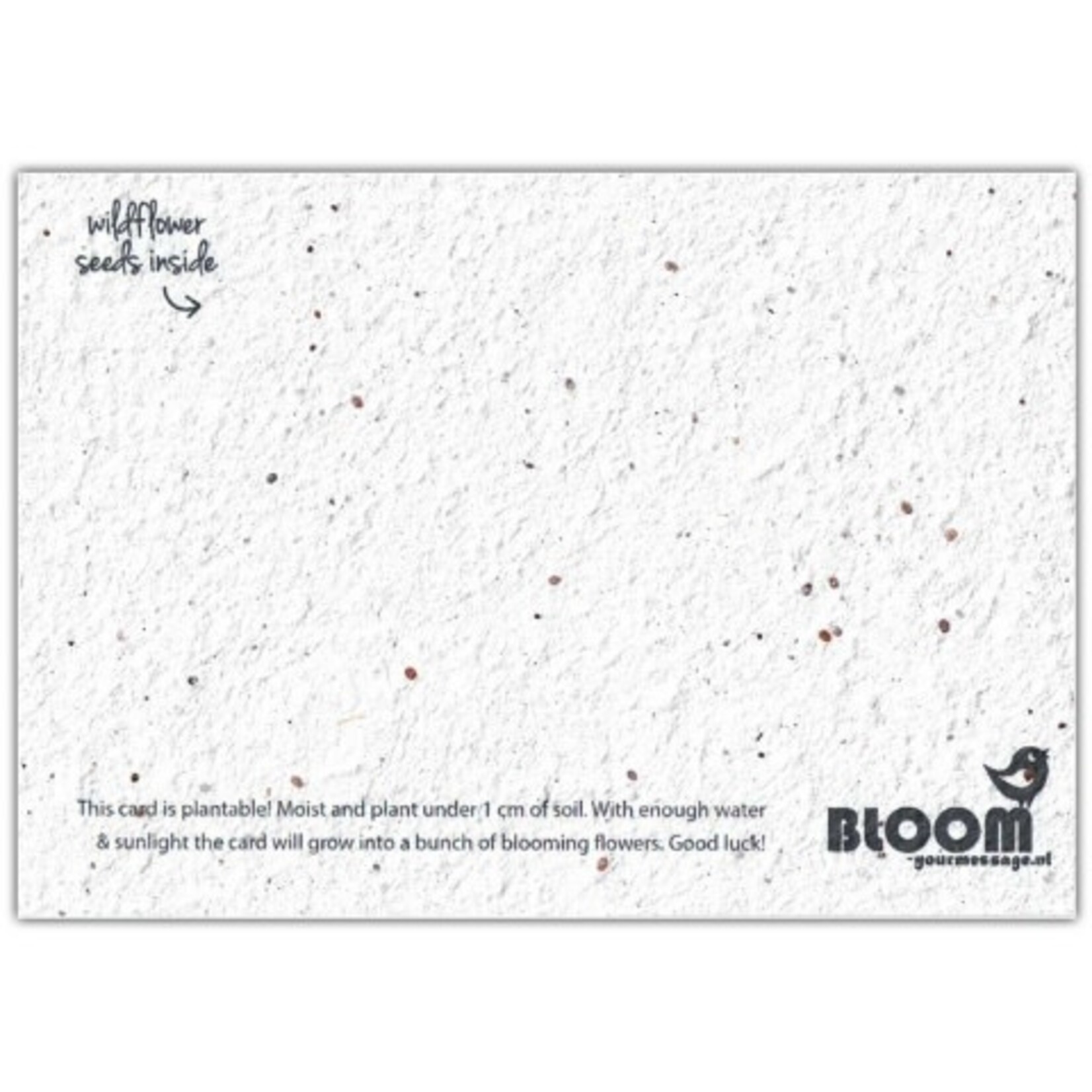 Bloom Postkaart Happy BEEday! Growing Paper - Zuid Afrika