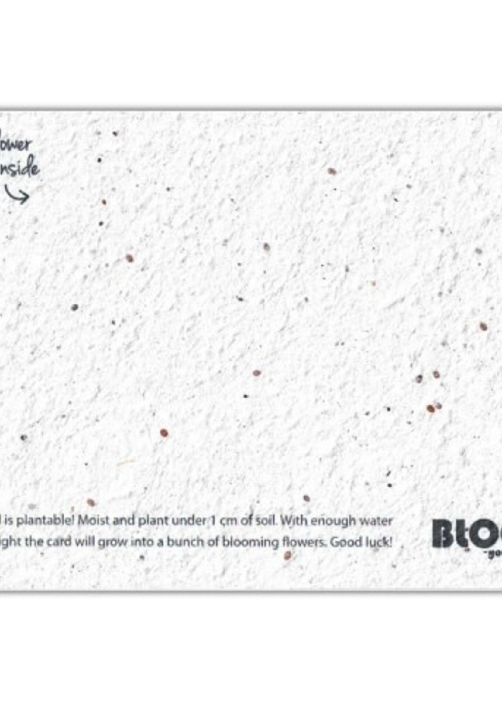 Bloom Postkaart Happy BEEday! Growing Paper - Zuid Afrika