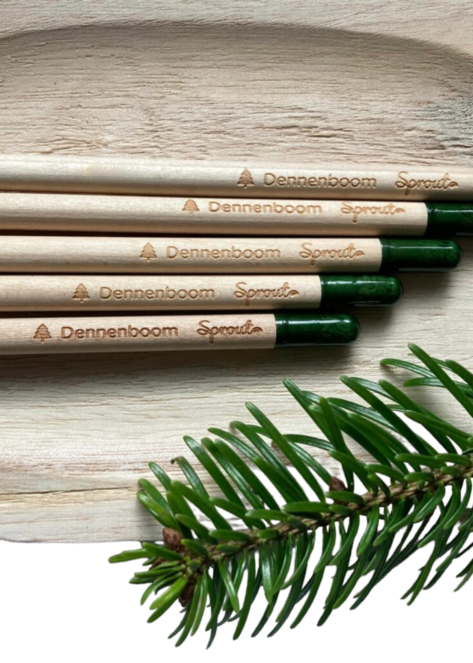 Bloom Bloeipotlood Dennenboom