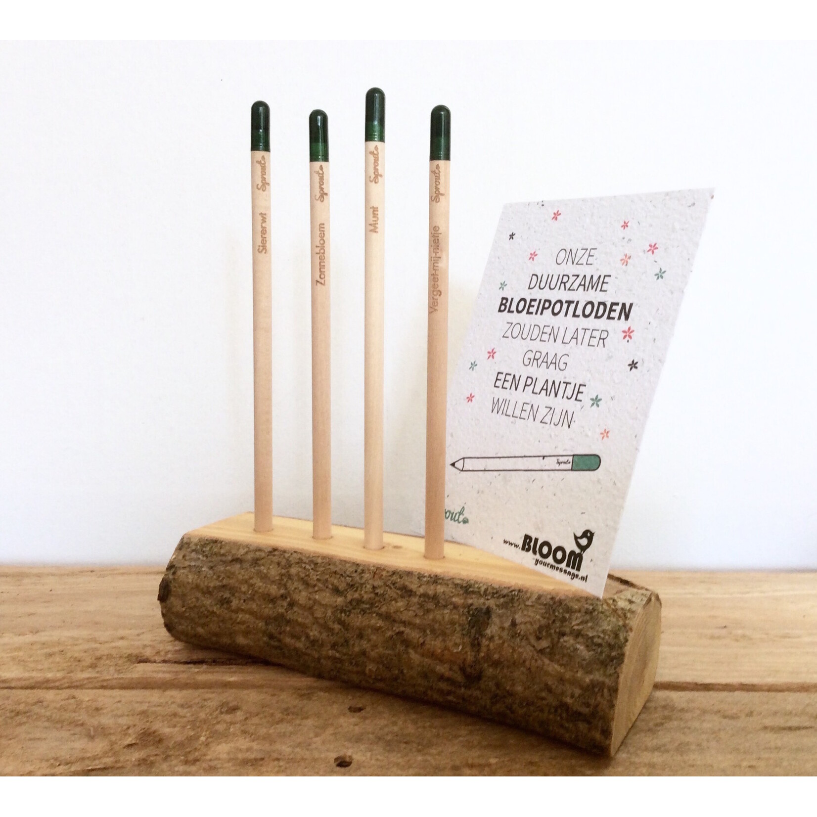 Bloom Bloeipotlood Dennenboom