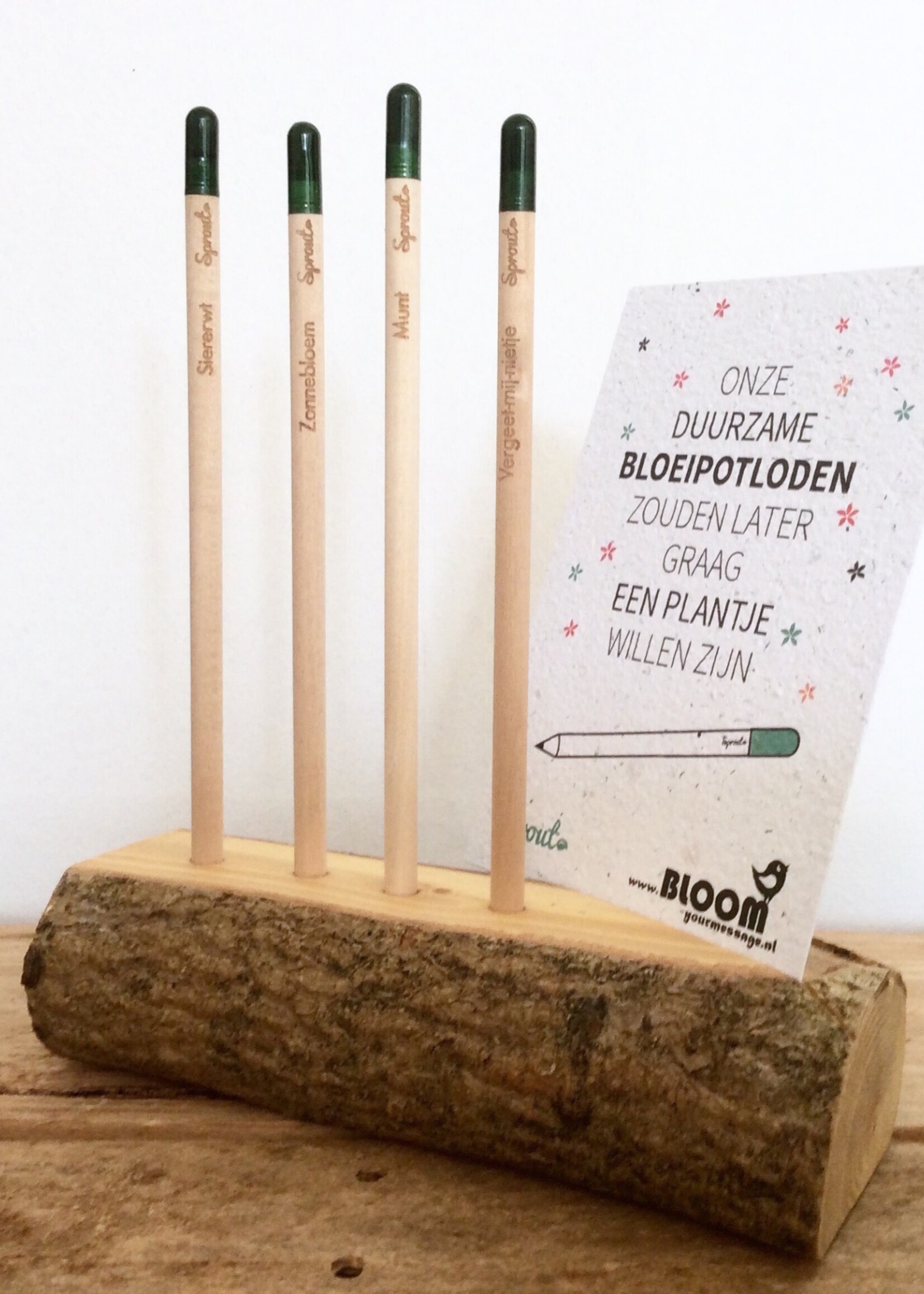 Bloom Bloeipotlood Vergeet-me-niet