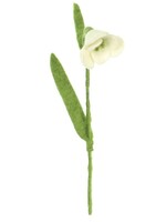 Sjaal met Verhaal Bloem Sneeuwklokje vilt - Nepal