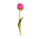 Sjaal met Verhaal Bloem Tulp Fey vilt - Nepal