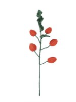 Sjaal met Verhaal Bloem Tak Physalis Lampion vilt - Nepal