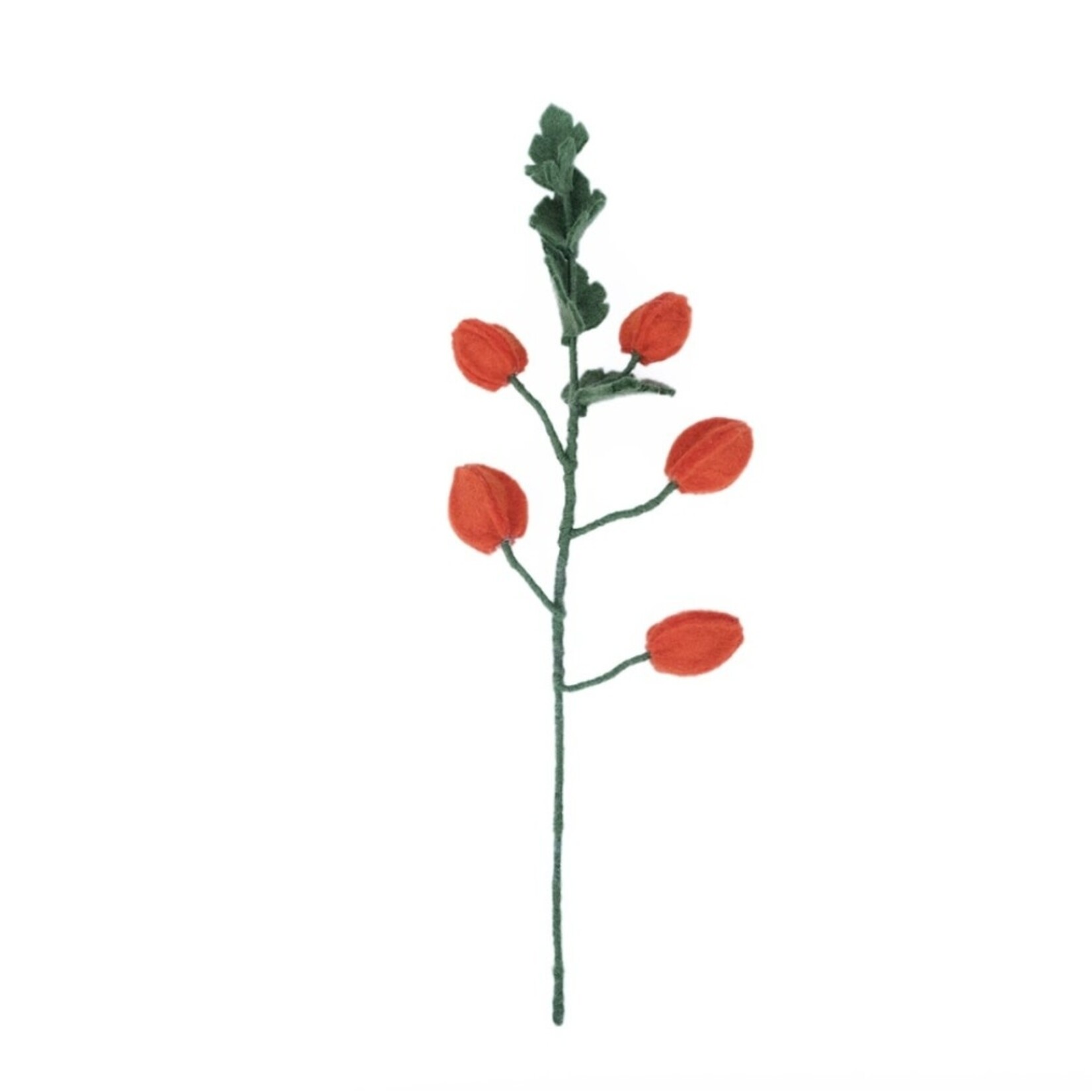 Sjaal met Verhaal Bloem Tak Physalis Lampion vilt - Nepal
