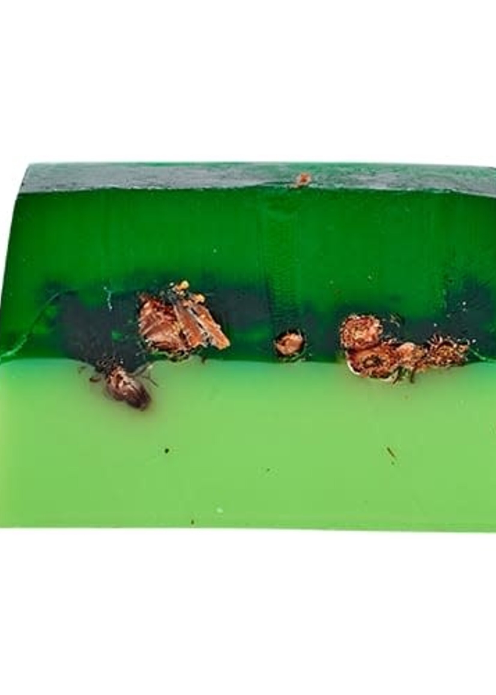 Blokzeep Blokzeep Body Bar Dennenappel