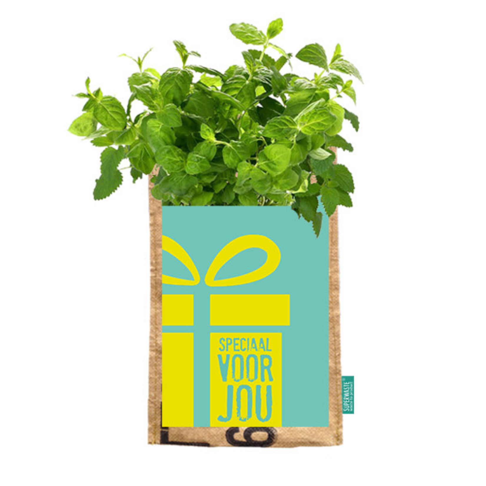 SuperWaste Let it grow Hangtuintje Speciaal voor jou  - India