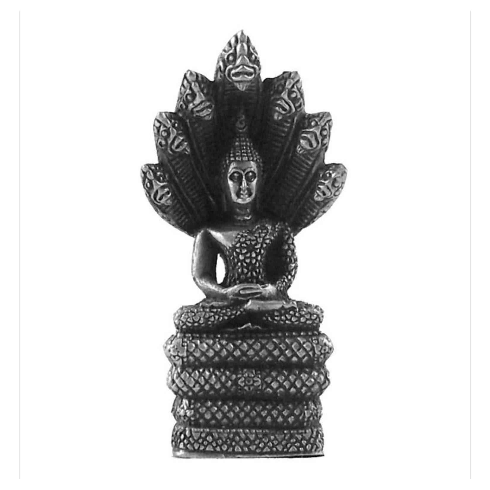 Dakini Geboortedag Boeddha zaterdag - Nepal