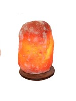 Art BizNiz Himalaya zoutlamp houten voet 4-6 kg 25cm - Pakistan