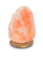 Art BizNiz Himalaya zoutlamp Rock USB / LED op houten voet ca 11cm - Pakistan