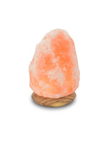 Art BizNiz Himalaya zoutlamp Rock USB / LED op houten voet ca 11cm - Pakistan