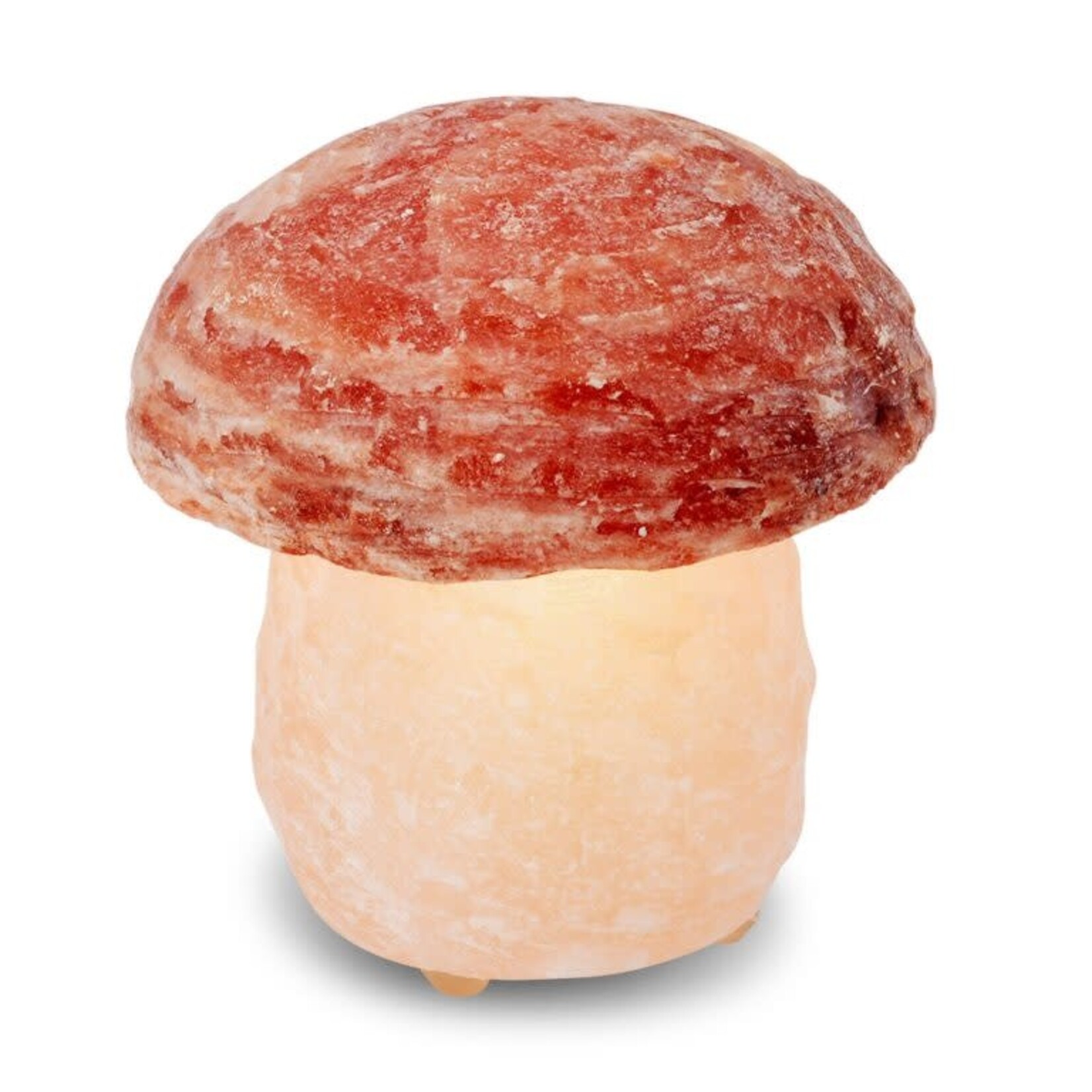 Art BizNiz Himalaya Salt Dreams Mushroom