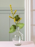 Sjaal met Verhaal Bloem Tak Mimosa - Nepal