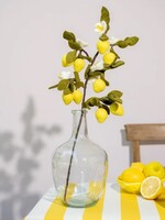 Sjaal met Verhaal Bloem Tak Citroen - Nepal