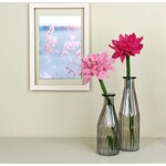 Sjaal met Verhaal Bloem Gerbera Fuchsia vilt - Nepal