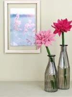 Sjaal met Verhaal Bloem Gerbera Fuchsia - Nepal