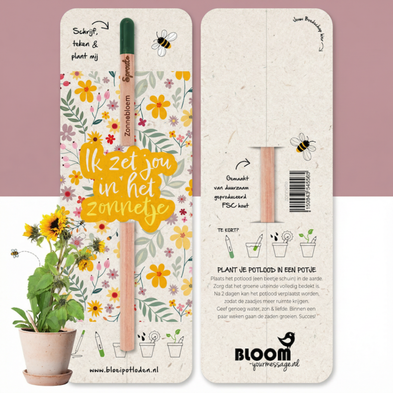 Bloom Bloeipotlood Basilicum