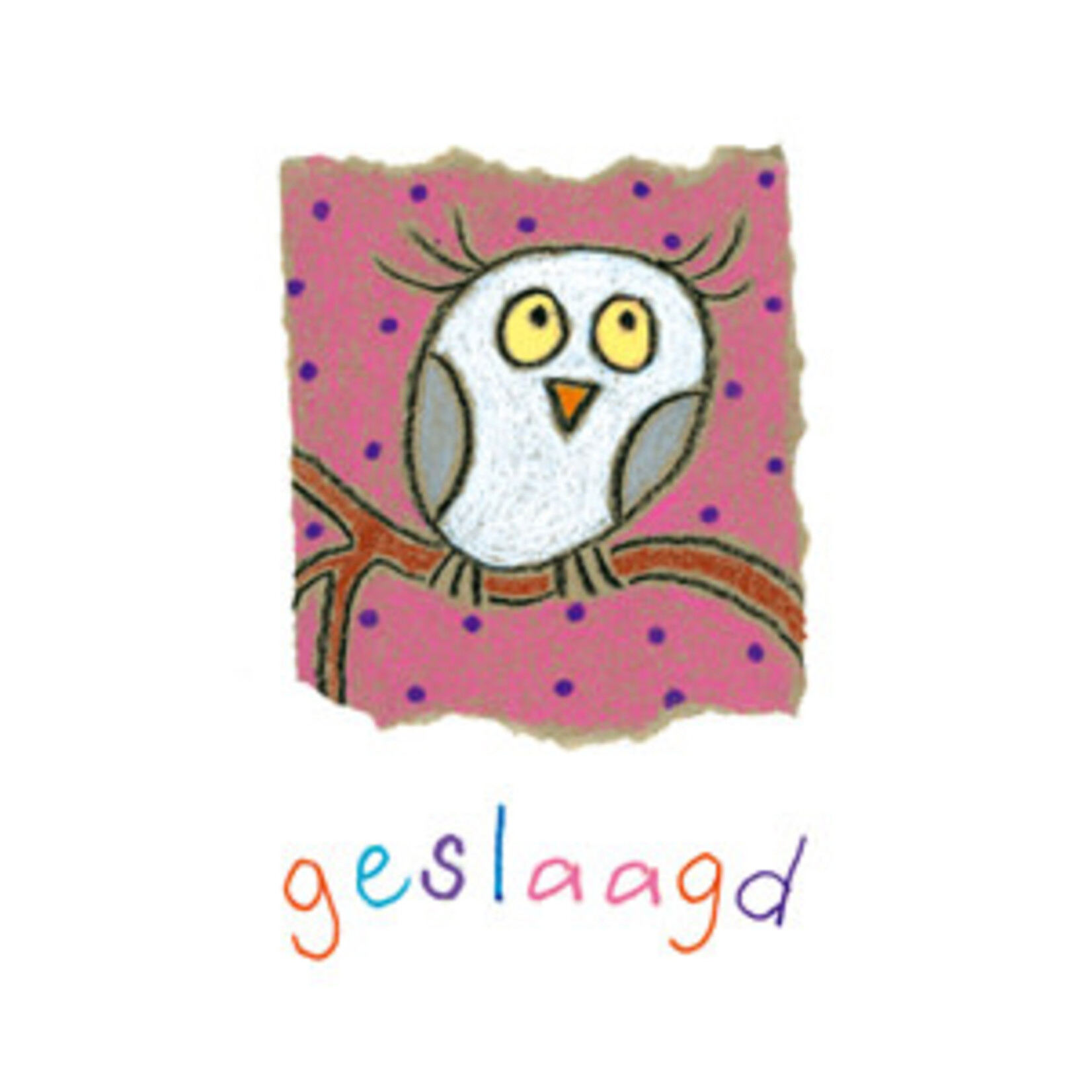 Floris Recycled Stationary Postkaart  uil geslaagd