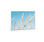 Porte-affiche A5 type T paysage