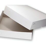 Zwanenhals doos 40 x 40 x 10 cm