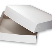 Zwanenhals doos 30 x 30 x 4,5 cm