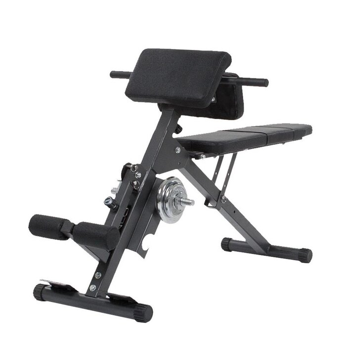 Finnlo Ab & back trainer