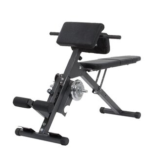 Finnlo Ab & back trainer