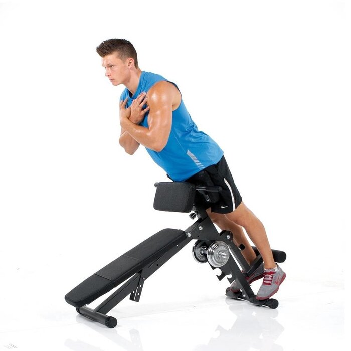 Finnlo Ab & back trainer
