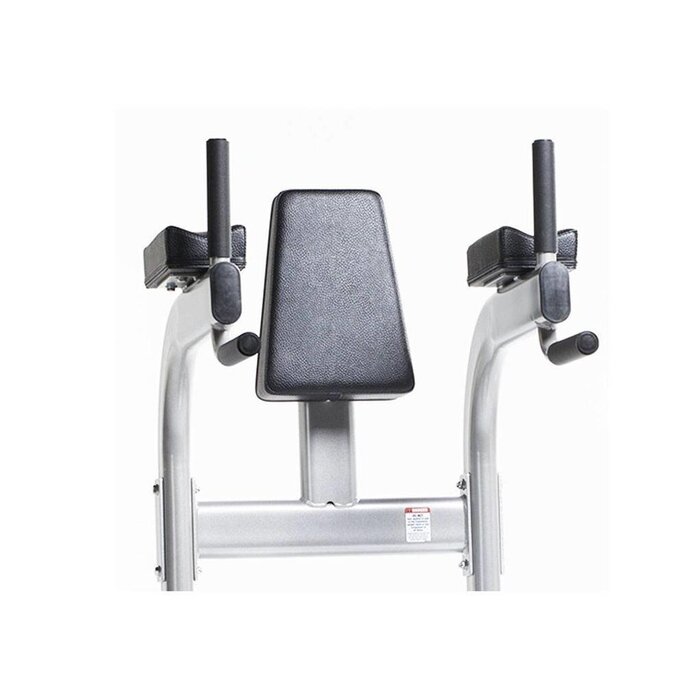Crossmaxx Cvr-341 vertical knee raise / dip stand