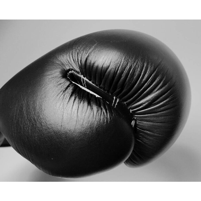 Crossmaxx Premium fight bokshandschoenen