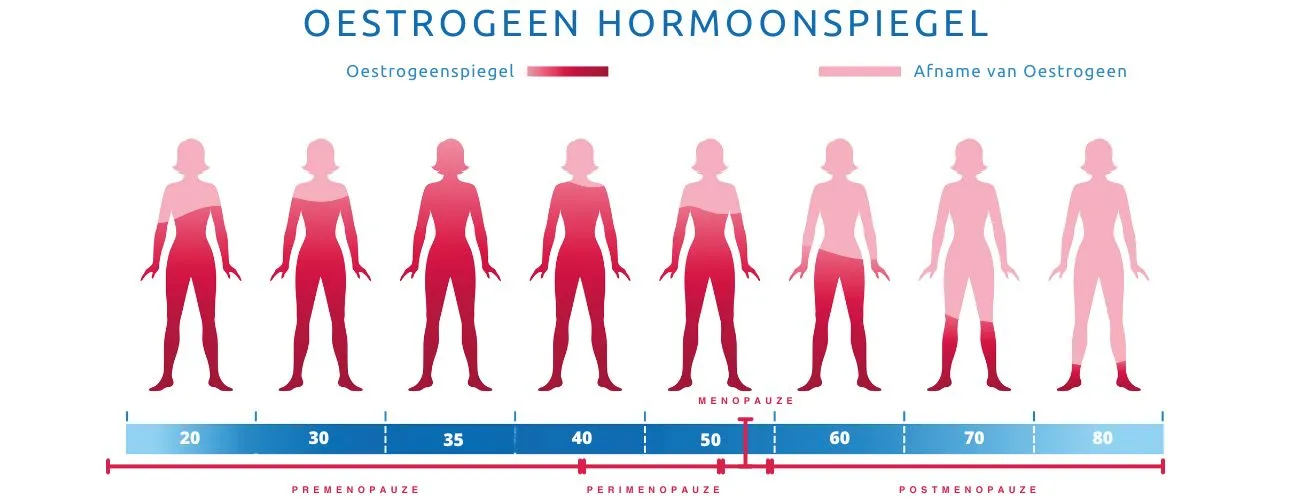 oestrogeen gehalte per leeftijd