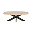 Brooz Akagi Salontafel Deens Ovaal 120 cm Ashblond – Design Salontafel met Spinpoot Onderstel
