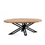 - Salontafel Ellips Yana