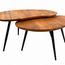 Brooz Erfurt salontafel set van 2 – organisch mangohout Smooth Natural