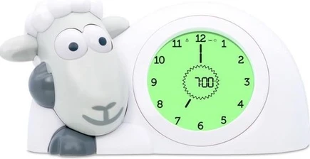 Waarom kies je voor een slaaptrainer voor je kind? 